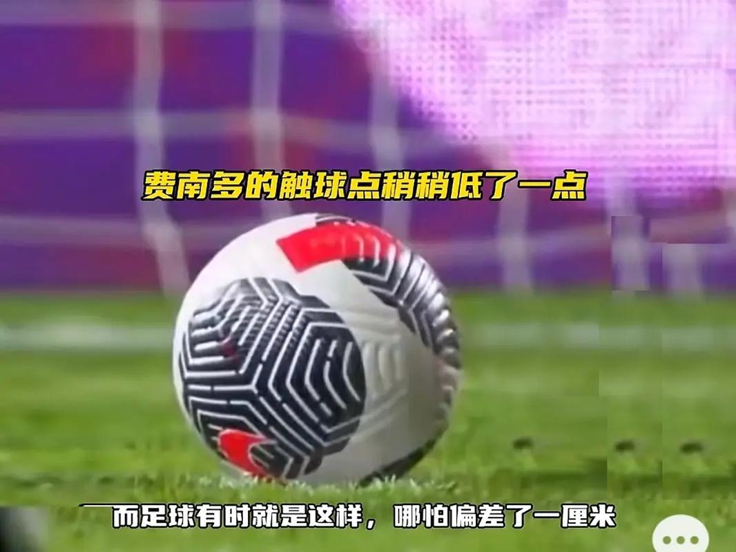 尼带来的